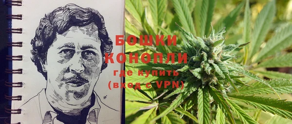 прущие крисы Верея