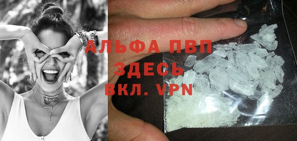 прущие крисы Верея