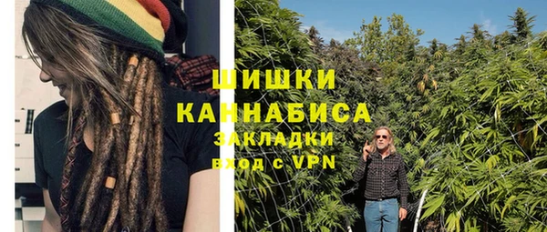 стафф Верхний Тагил